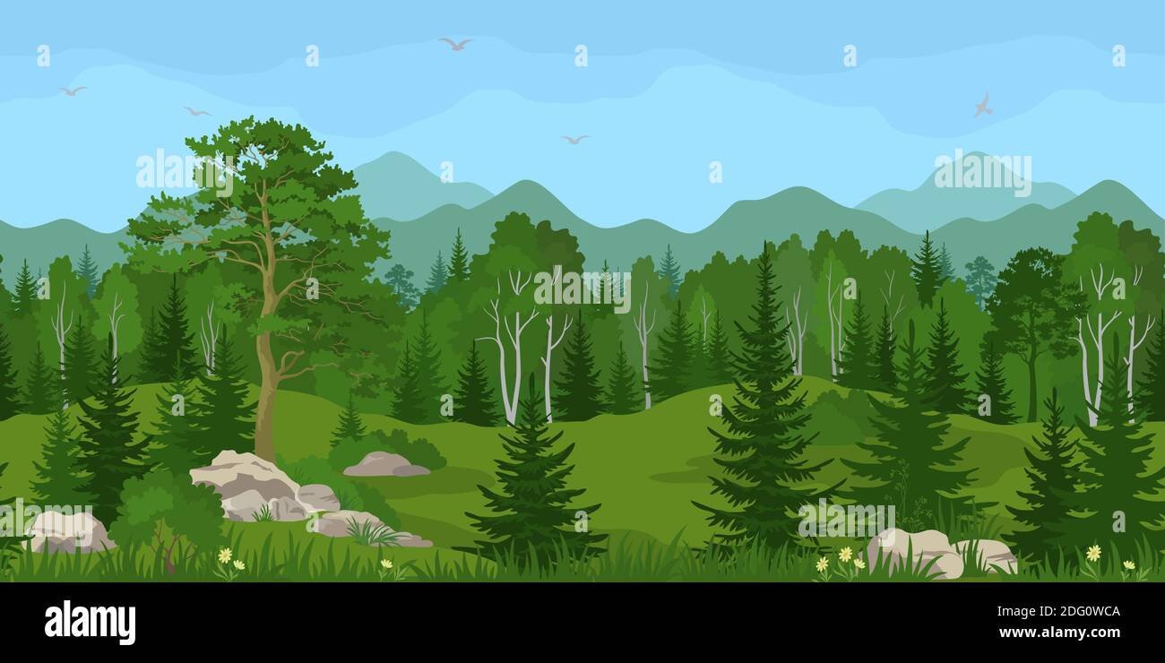 Paysage de montagne horizontal d'été sans couture avec pins, bouleau et Fir, herbe verte et fleurs jaunes sur les rochers de pierre, ciel bleu avec oiseaux. Illustration de Vecteur