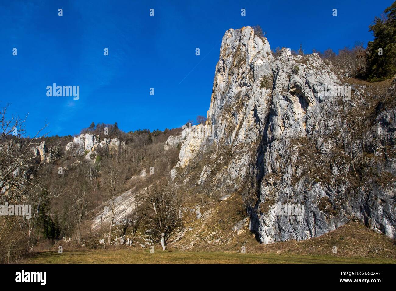 Oberes Donautal BEI Fridingen, Stiegelesfels Banque D'Images