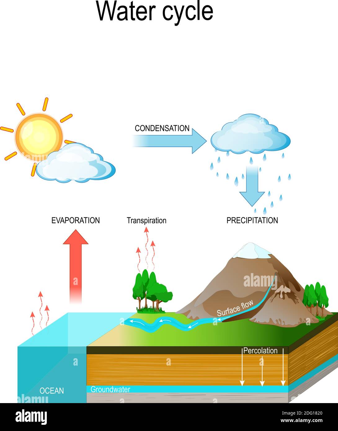 Cycle de l'eau dans l'environnement naturel. Le soleil, qui entraîne le cycle de l'eau, chauffe l'eau dans les océans et les mers. L'eau s'évapore sous forme de vapeur d'eau dans l'air Illustration de Vecteur