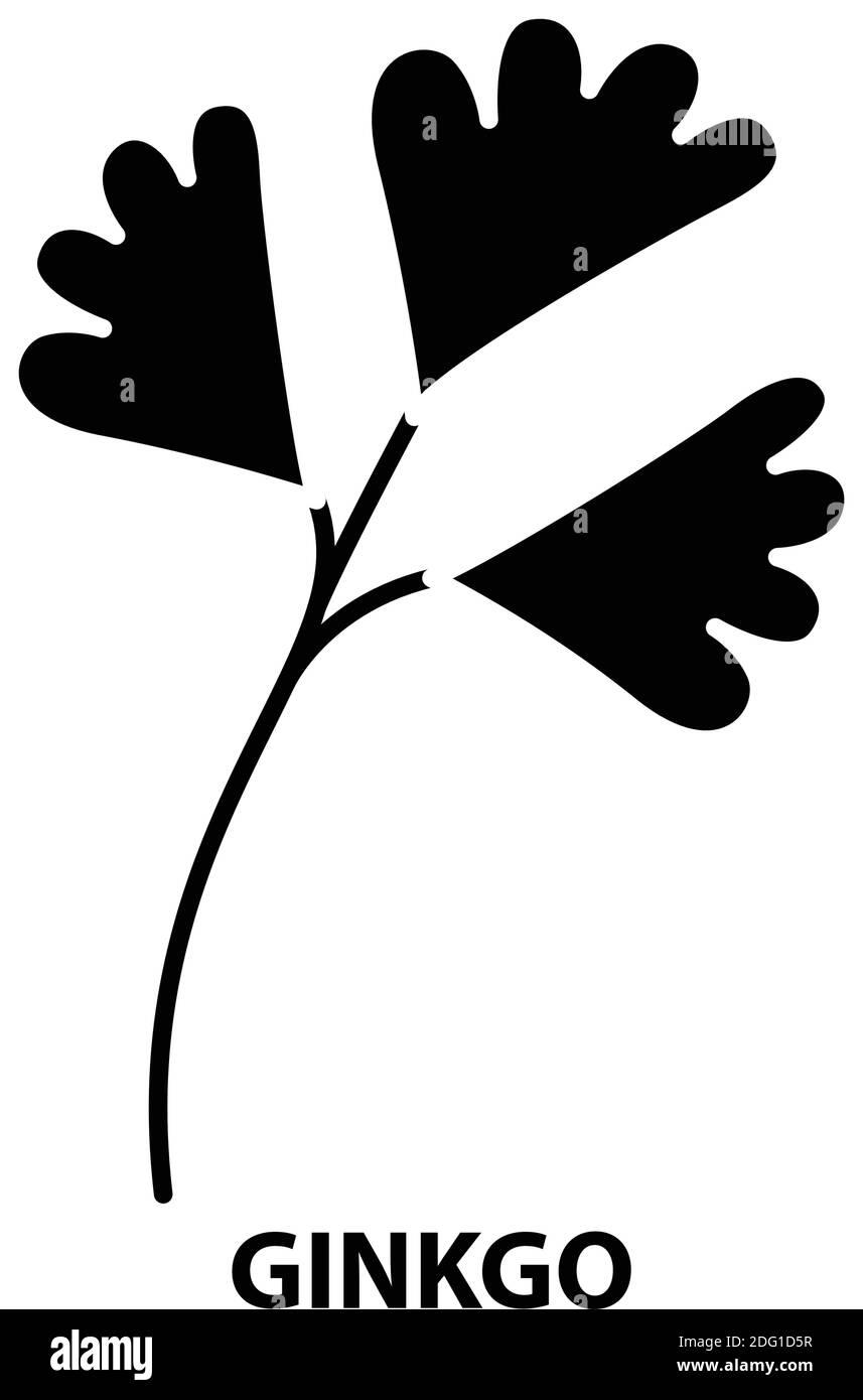 icône ginkgo, signe vectoriel noir avec traits modifiables, illustration de concept Illustration de Vecteur