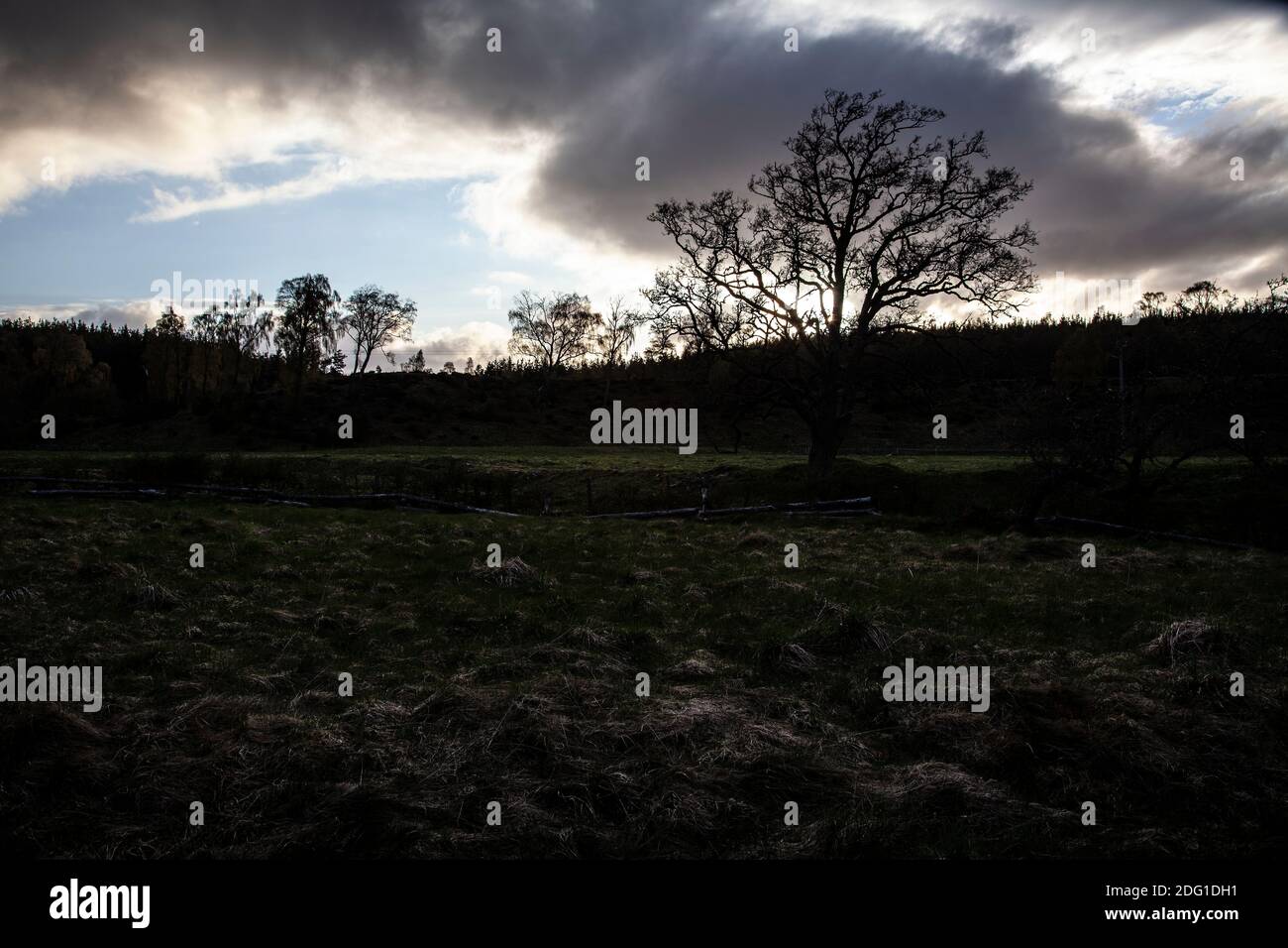En fin de soirée, scène dans le parc national de Cairngorms, en Écosse, tandis que la lumière et les nuages s'estompent les arbres sur les collines Banque D'Images En fin de soirée, scène dans le parc national de Cairngorms, en Écosse, tandis que la lumière et les nuages s'estompent les arbres sur les collines Banque D'Images