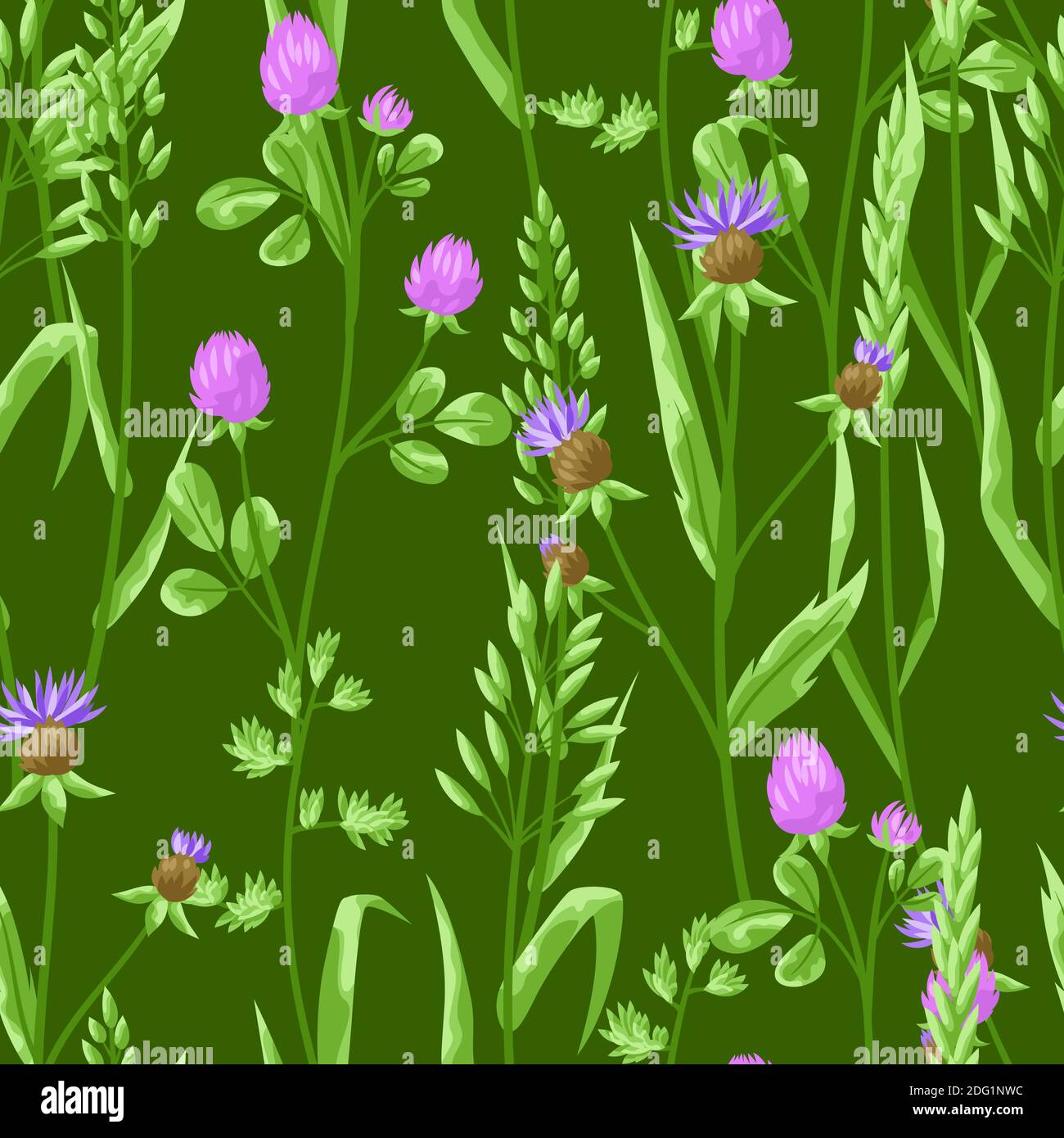 Motif sans couture avec herbes et herbe à céréales. Illustration de Vecteur