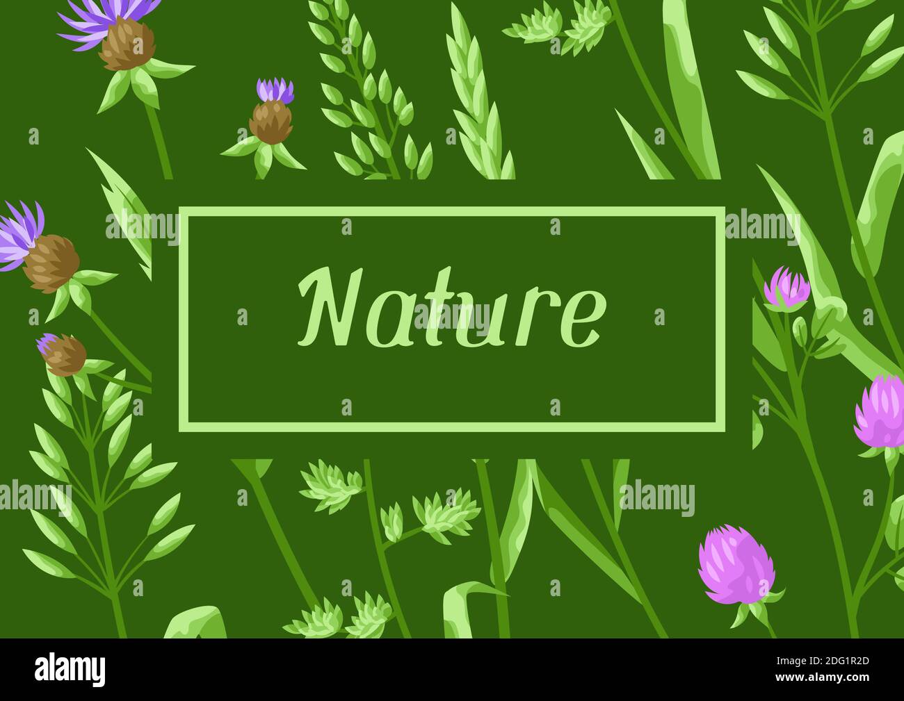 Arrière-plan avec herbes et herbe de céréales. Illustration de Vecteur