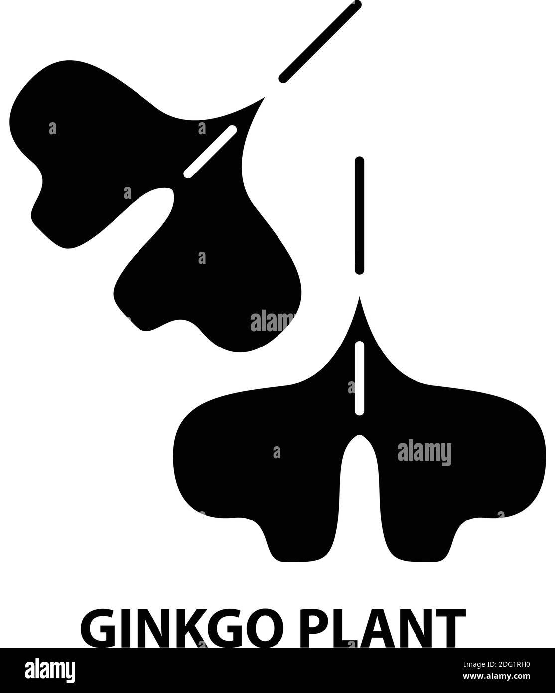 icône de plante ginkgo, signe vectoriel noir avec traits modifiables, illustration de concept Illustration de Vecteur