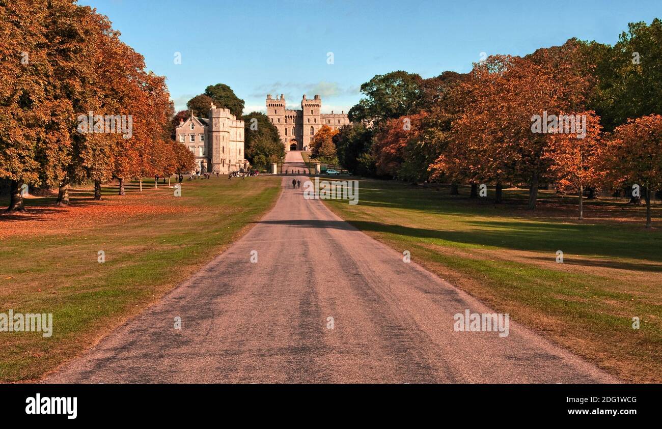 Le long Walk Windsor Great Park Banque D'Images