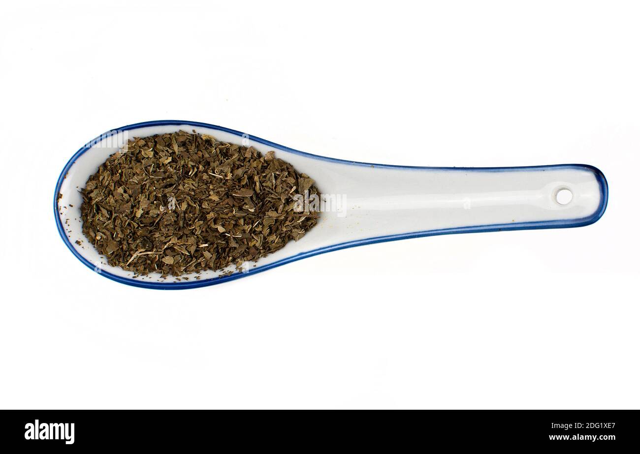 Menthe Banque D'Images