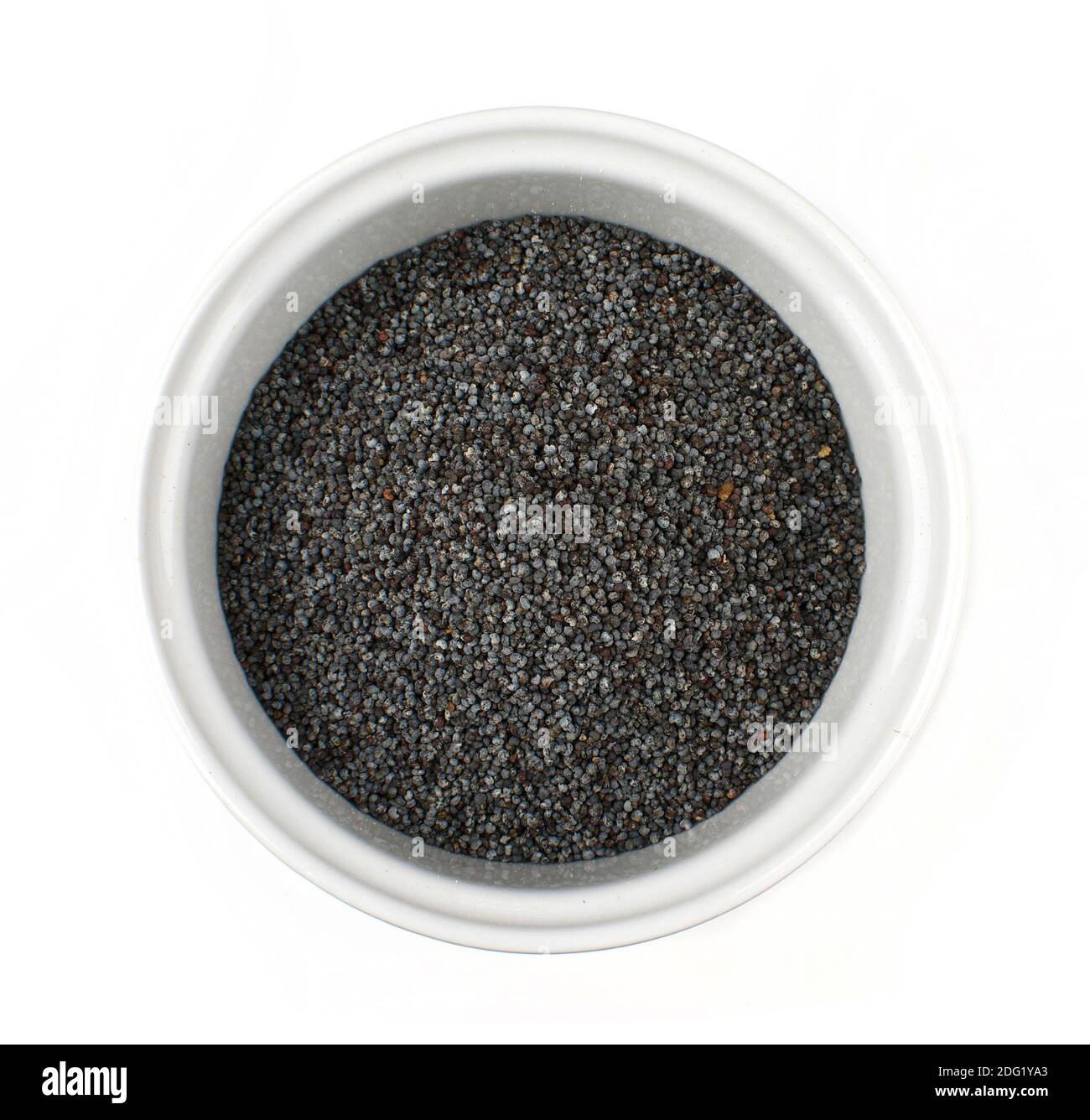 Graines de pavot Banque D'Images