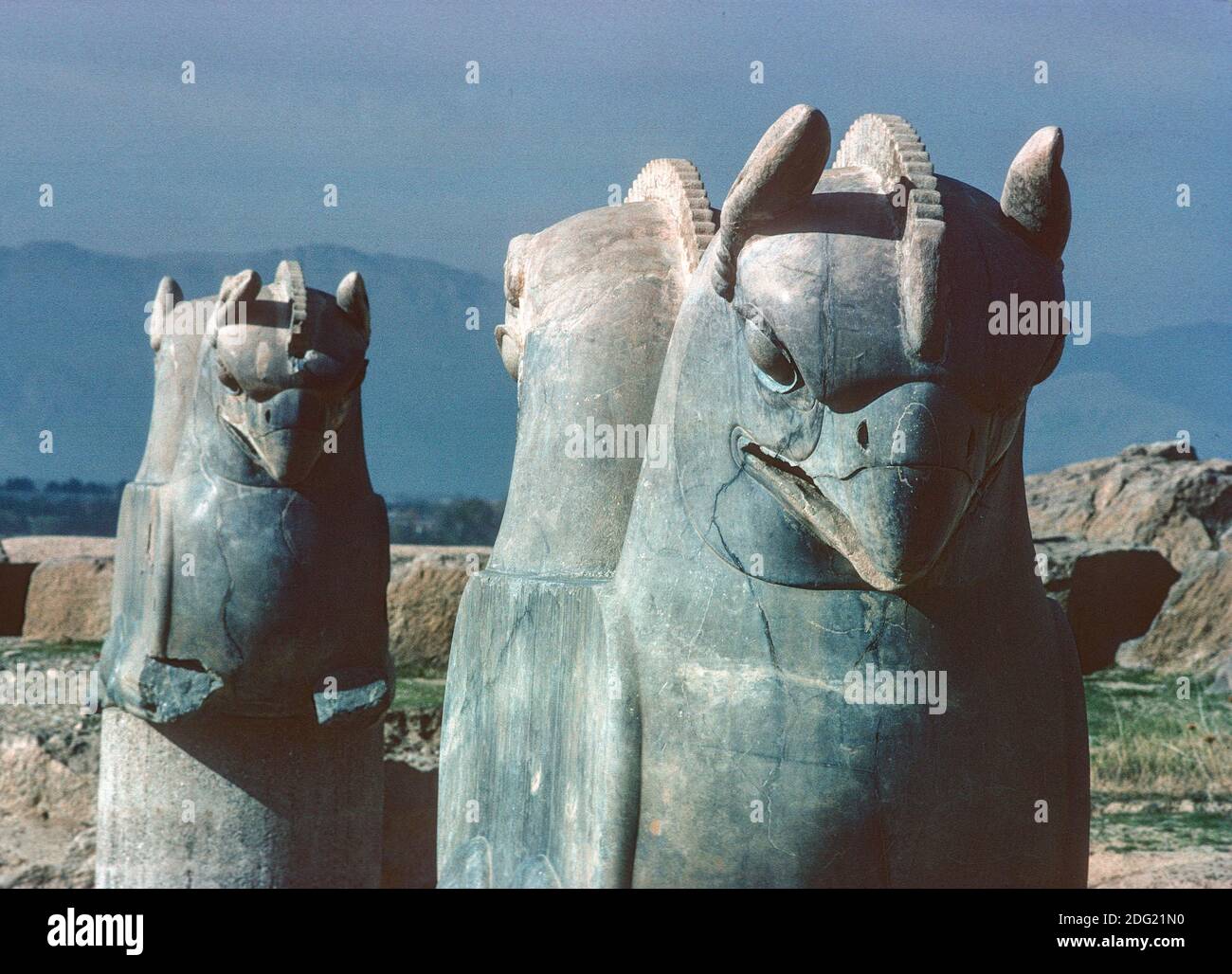 Chapiteaux à double tête du palais Achaemenid Apadana, construit par Darius I et Xerxes I, Persepolis, Iran Banque D'Images