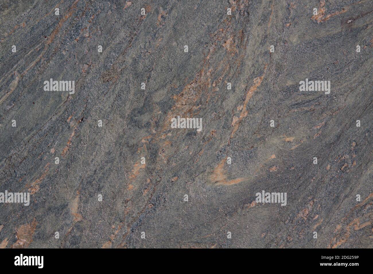 Greenschist, roche métamorphique Banque D'Images