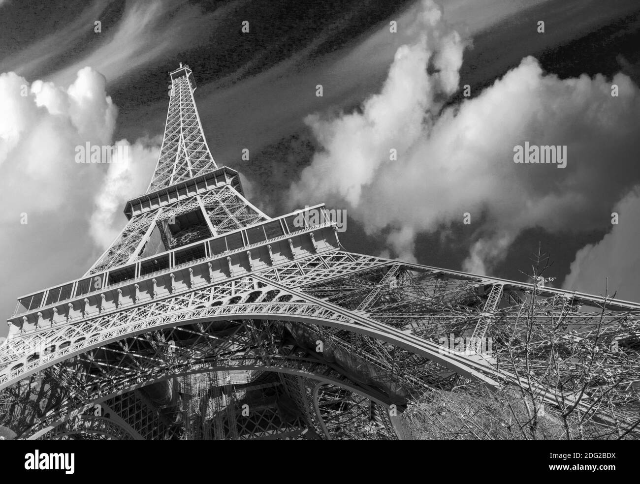 Magnifique vue sur la rue de la Tour Eiffel et la végétation d'hiver - Paris Banque D'Images