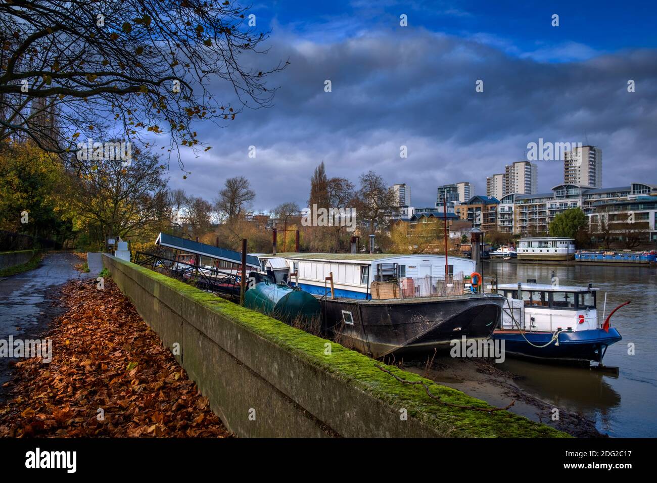 Londres, bateaux à moteur sur la Tamise, Section un du chemin de la Tamise sur la rive sud, Kew, bâtiments résidentiels à Chiswick, feuilles d'automne, vue saisonnière Banque D'Images