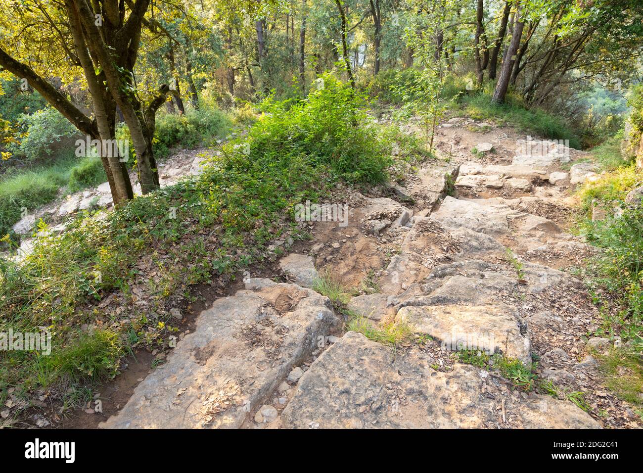 Sentier vers la colonie ibérique de Casol de Puigcastellet. Folgueroles, Osona, Barcelone, Catalogne, Espagne, Europe. Banque D'Images