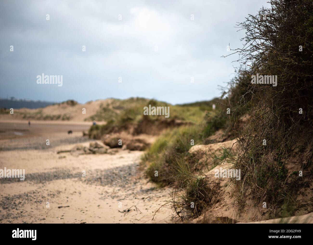 Vue sur les dunes et la plage à Crow point, Braunnton Burrows dans le nord du Devon, dans le sud-ouest de l'Angleterre. Pris en novembre 2020 Banque D'Images