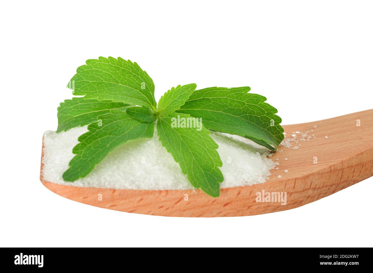 Stévia avec du sucre blanc sur une cuillère en bois Banque D'Images