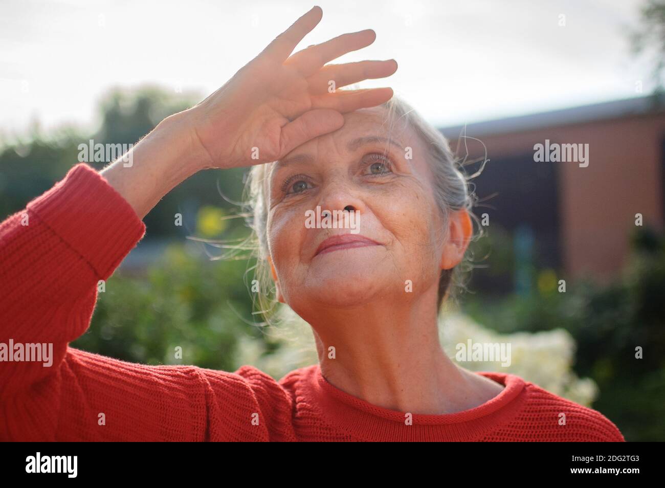 Portrait de femme âgée avec cheveux gris et visage avec des rides portant un chandail tricoté rouge et se détendent au parc pendant jour ensoleillé et à la recherche Banque D'Images