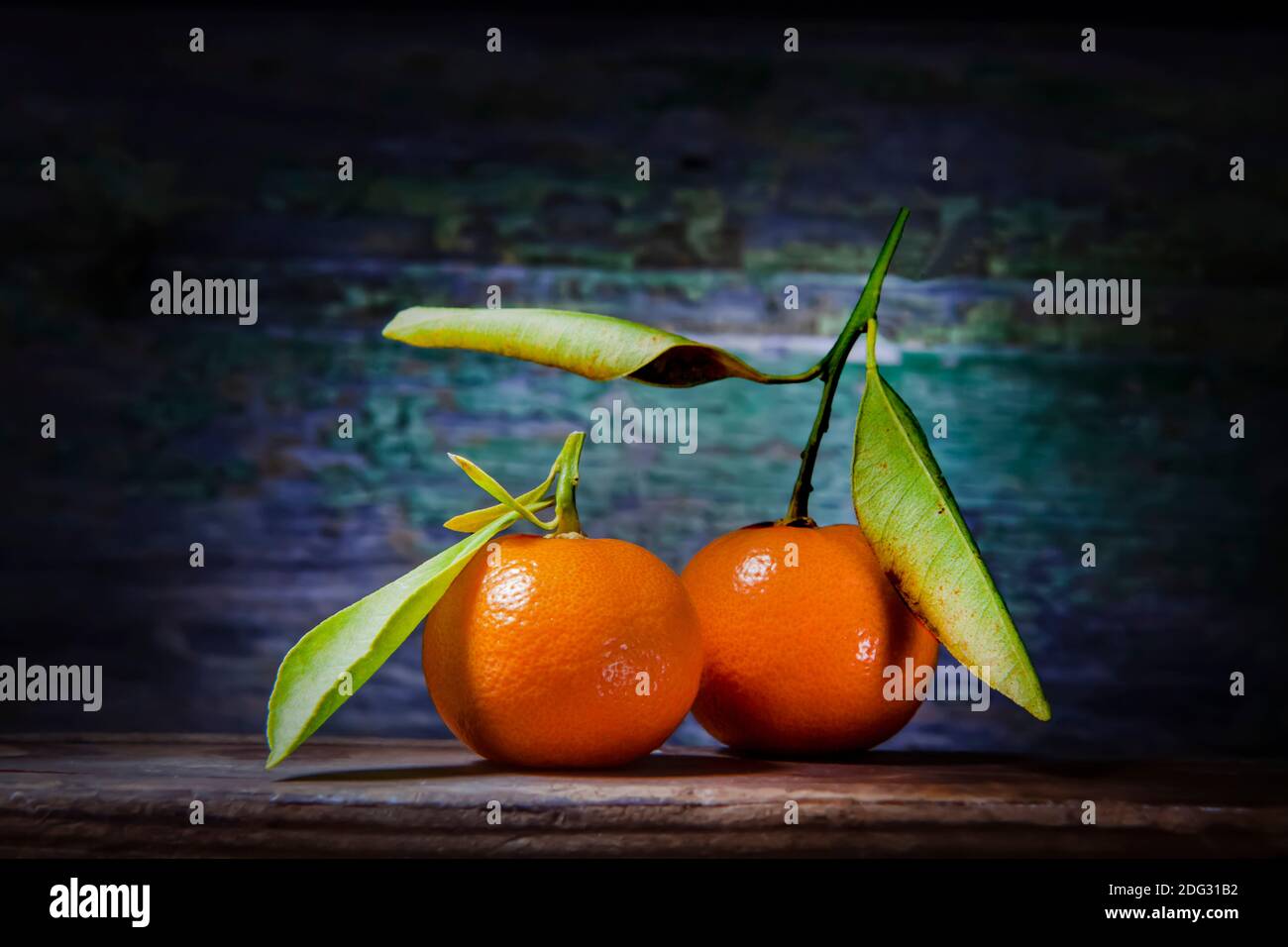 Tachibana Citrus paire sur étagère en bois. Variété de mandarines et de agrumes. Tachibana Orange est un nom scientifique de la famille Rutaceae Banque D'Images