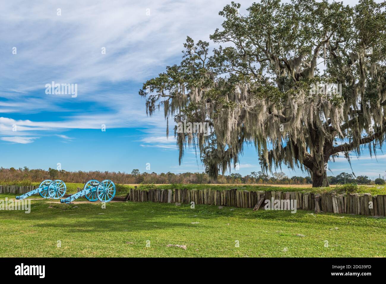 Lieu de la bataille de la Nouvelle-Orléans 1815 avec chêne vivant et mousse espagnole, parc historique national Jean Lafitte, champ de bataille de Chalmette, Louisiane. Banque D'Images