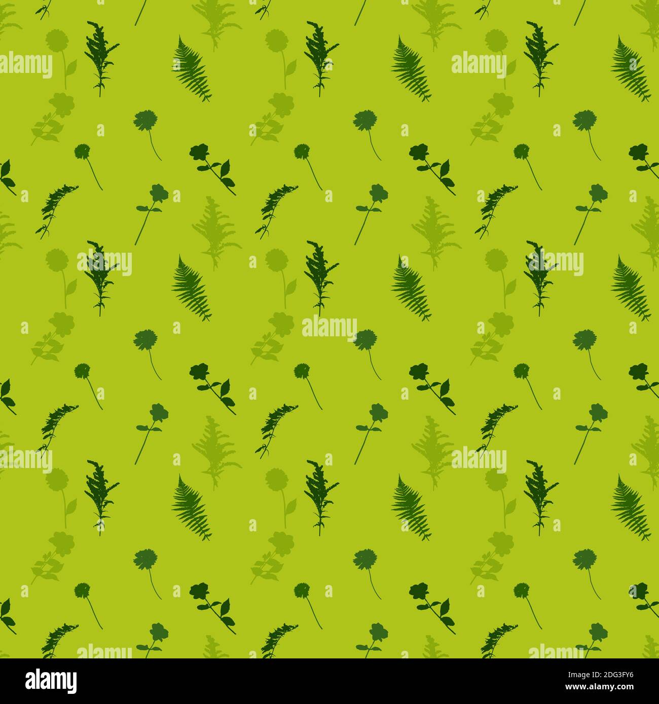 Feuilles et fleurs de palmier. Illustration de l'arrière-plan de la répétition transparente. Banque D'Images