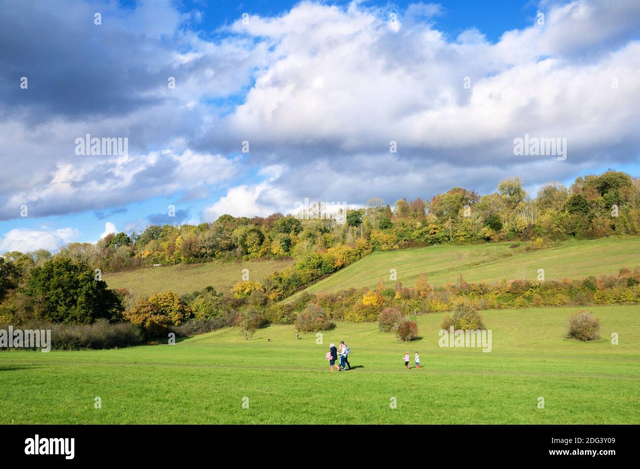 Happy Valley Park, une zone de campagne ouverte avec 250 hectares d'herbe de terre, des pentes boisées et une vallée sèche escarpée au centre. ROYAUME-UNI Banque D'Images