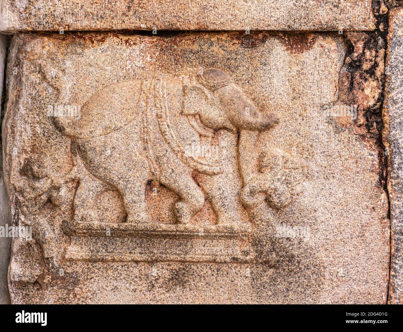 Hampi, Karnataka, Inde - 4 novembre 2013 : complexe du temple de Virupaksha. Gros plan de la sculpture murale en pierre rouge de l'éléphant. Banque D'Images