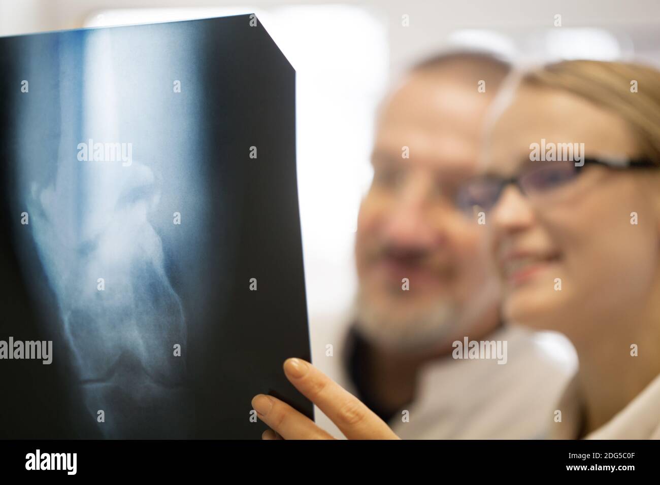 Les médecins de poser un diagnostic à l'aide d'images par rayons x Banque D'Images