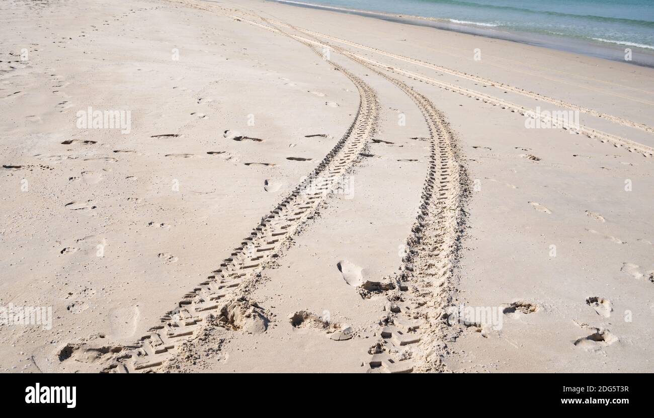 Chenilles pour pneus 4x4 sillonnent les chenilles pour pneus sur fond de texture sable. Banque D'Images