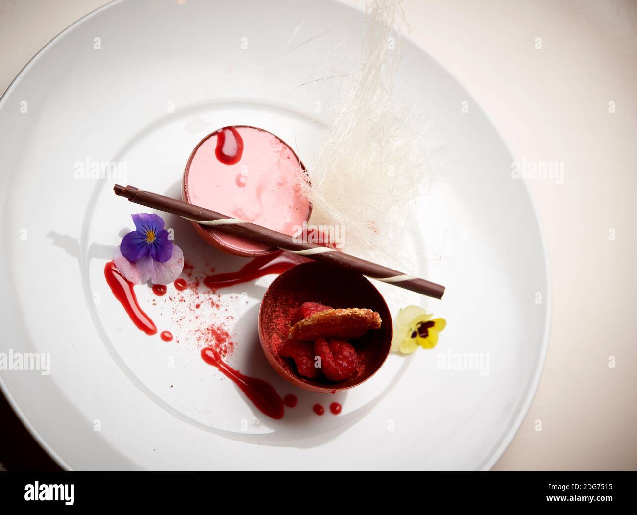Souris à la framboise dans une sphère au chocolat avec boucles au chocolat blanc Et un coulis de framboises Banque D'Images