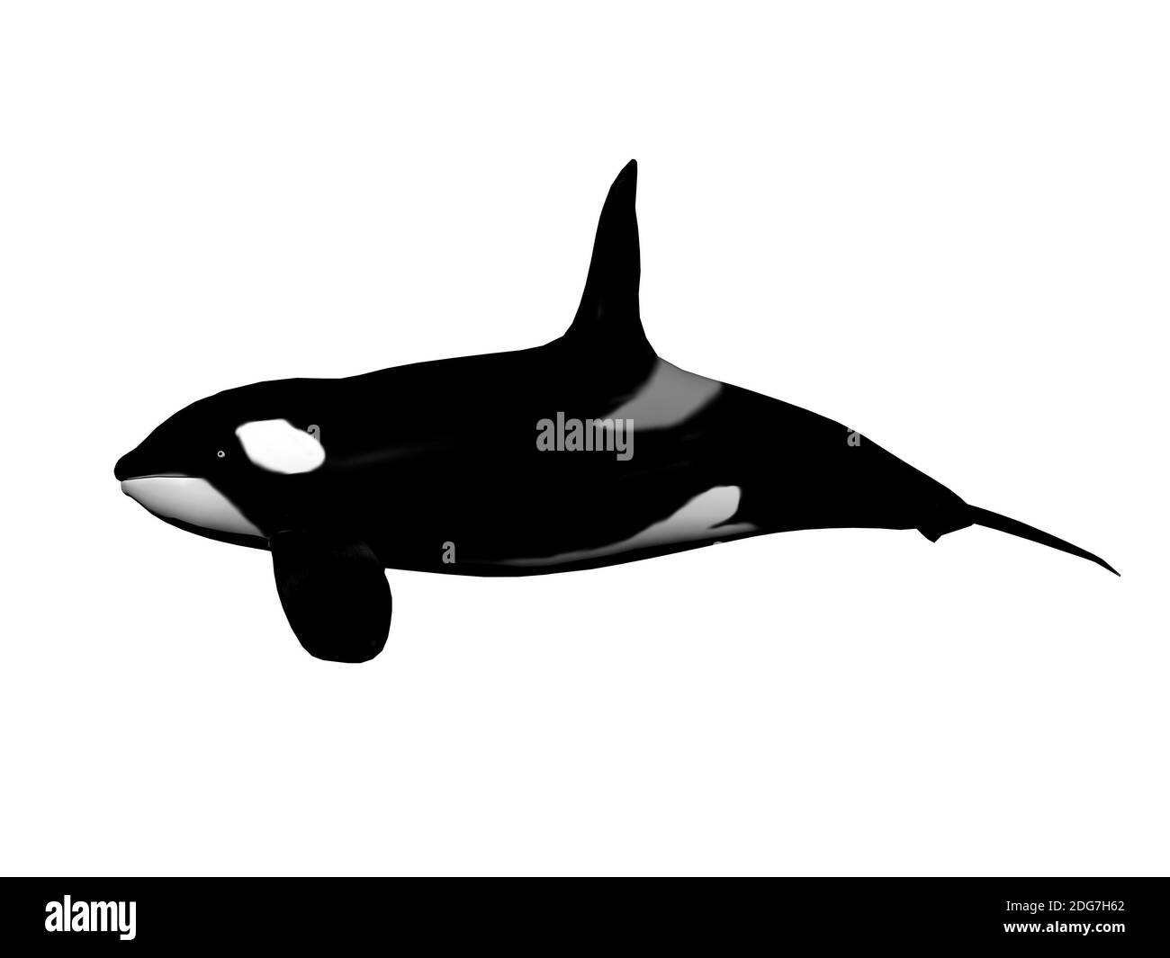 Orque - 3D render Banque D'Images