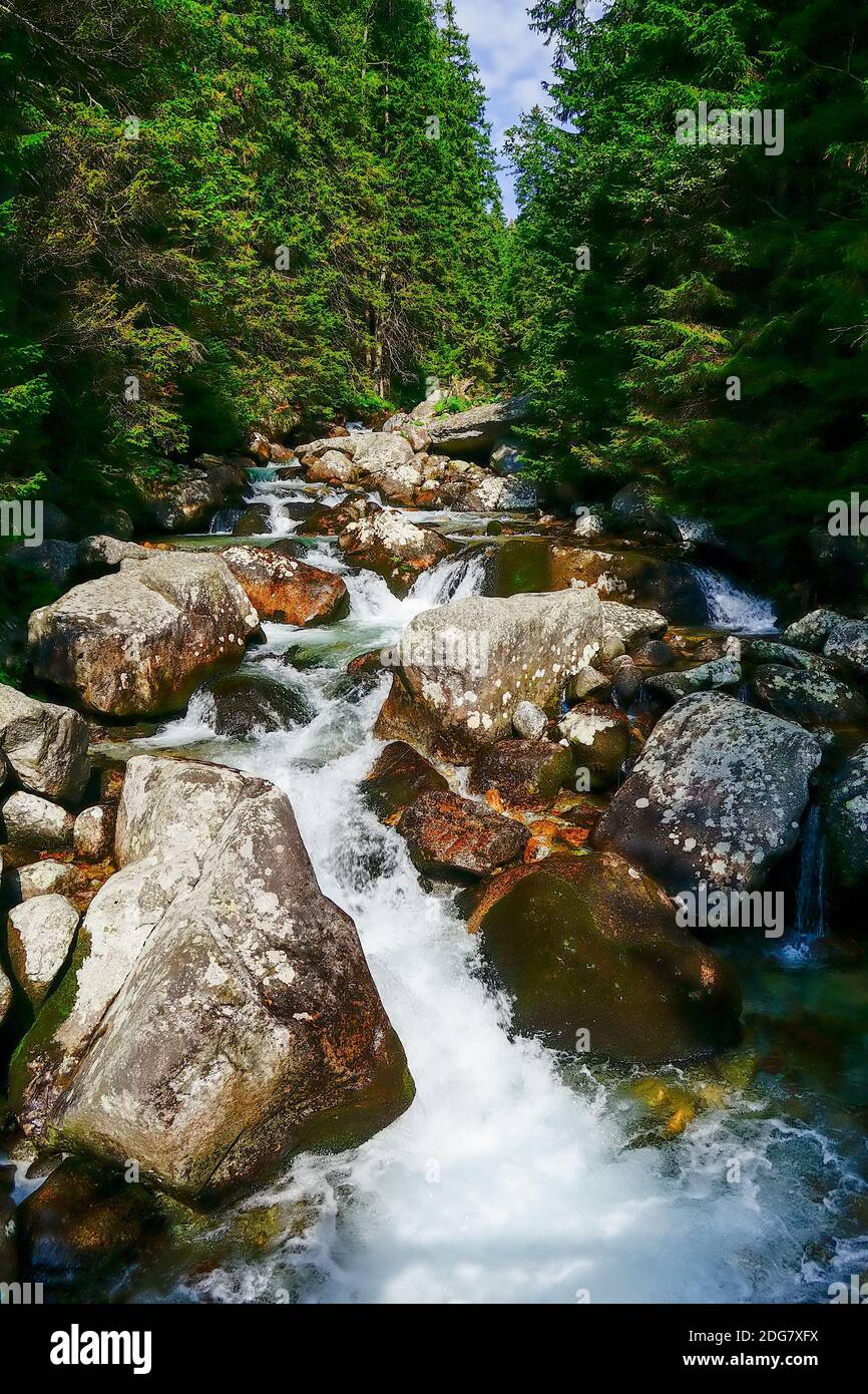 Ruisseau de montagne Banque D'Images