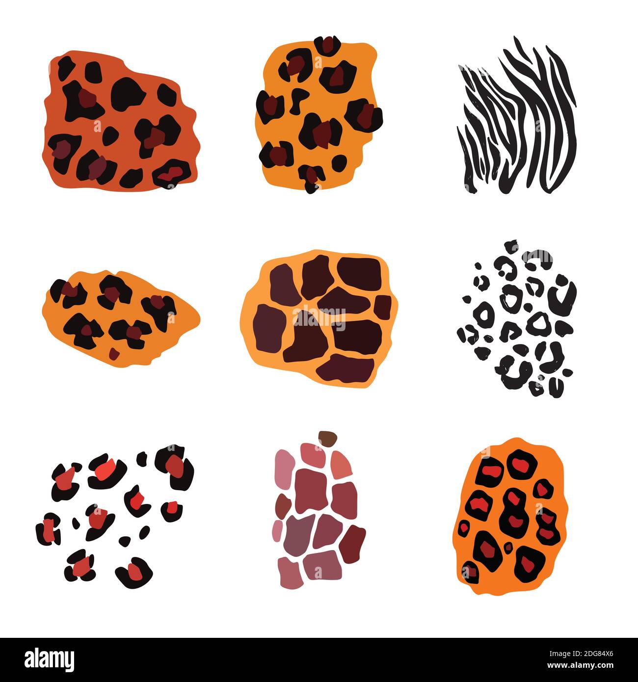 Ensemble animaux sauvages. Imprimé Jaguar, léopard, zèbre, girafe, tigre et guépard. Illustration de Vecteur