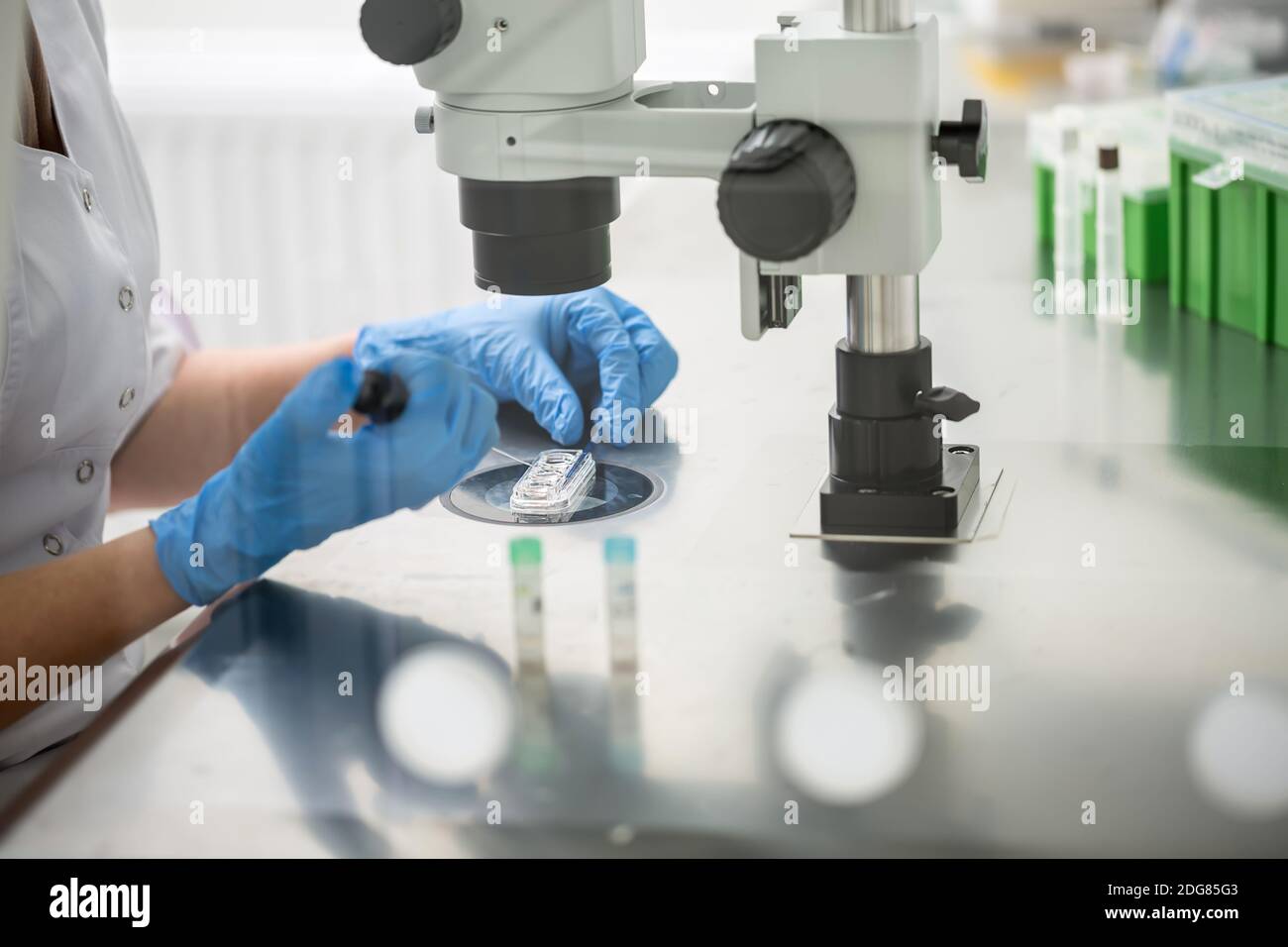 Contrôle de résultat de la fécondation in vitro Banque D'Images