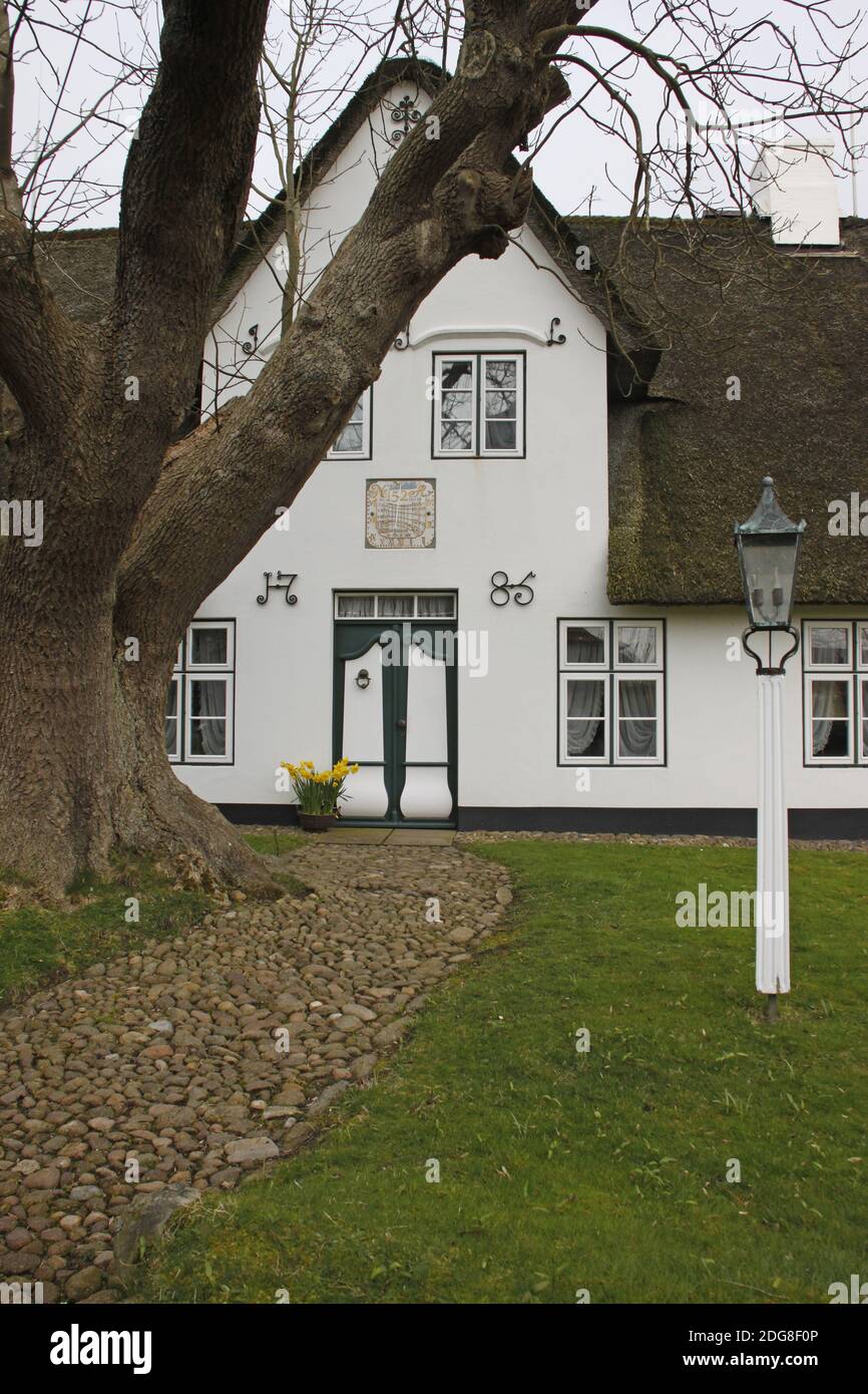 Maison au toit de chaume Banque D'Images