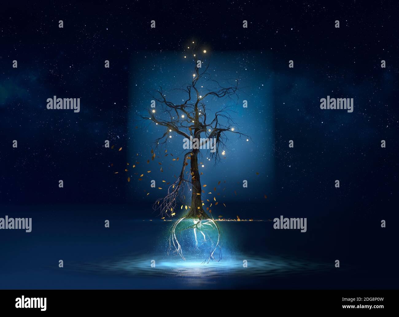 Arbre flottant illuminé mystérieux au-dessus de l'eau Banque D'Images