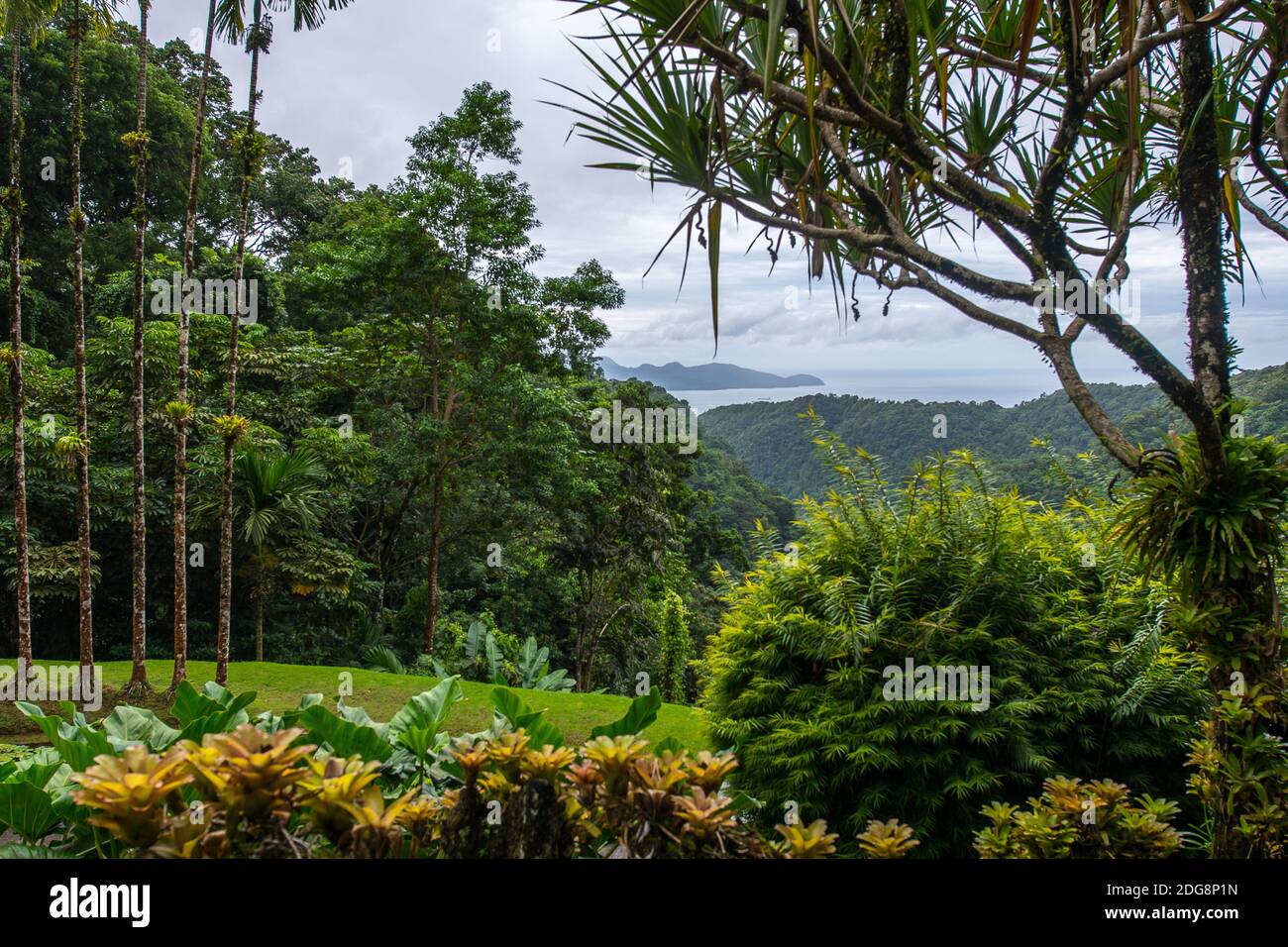 Jardin botanique martinique Banque de photographies et d’images à haute