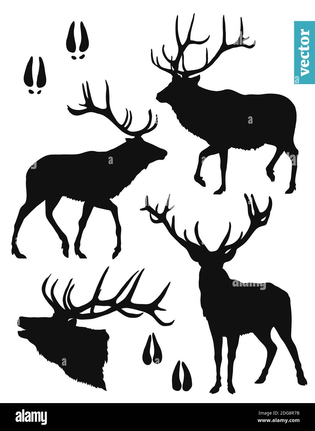 silhouettes d'un cerf avec bois, jeu d'illustrations de vecteurs, formes noires isolées sur fond blanc Illustration de Vecteur
