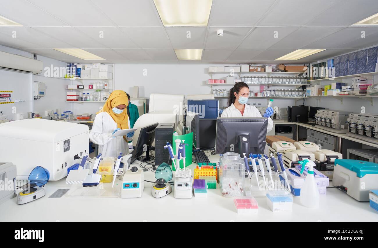 Femmes scientifiques dans masques de visage travaillant en laboratoire Banque D'Images