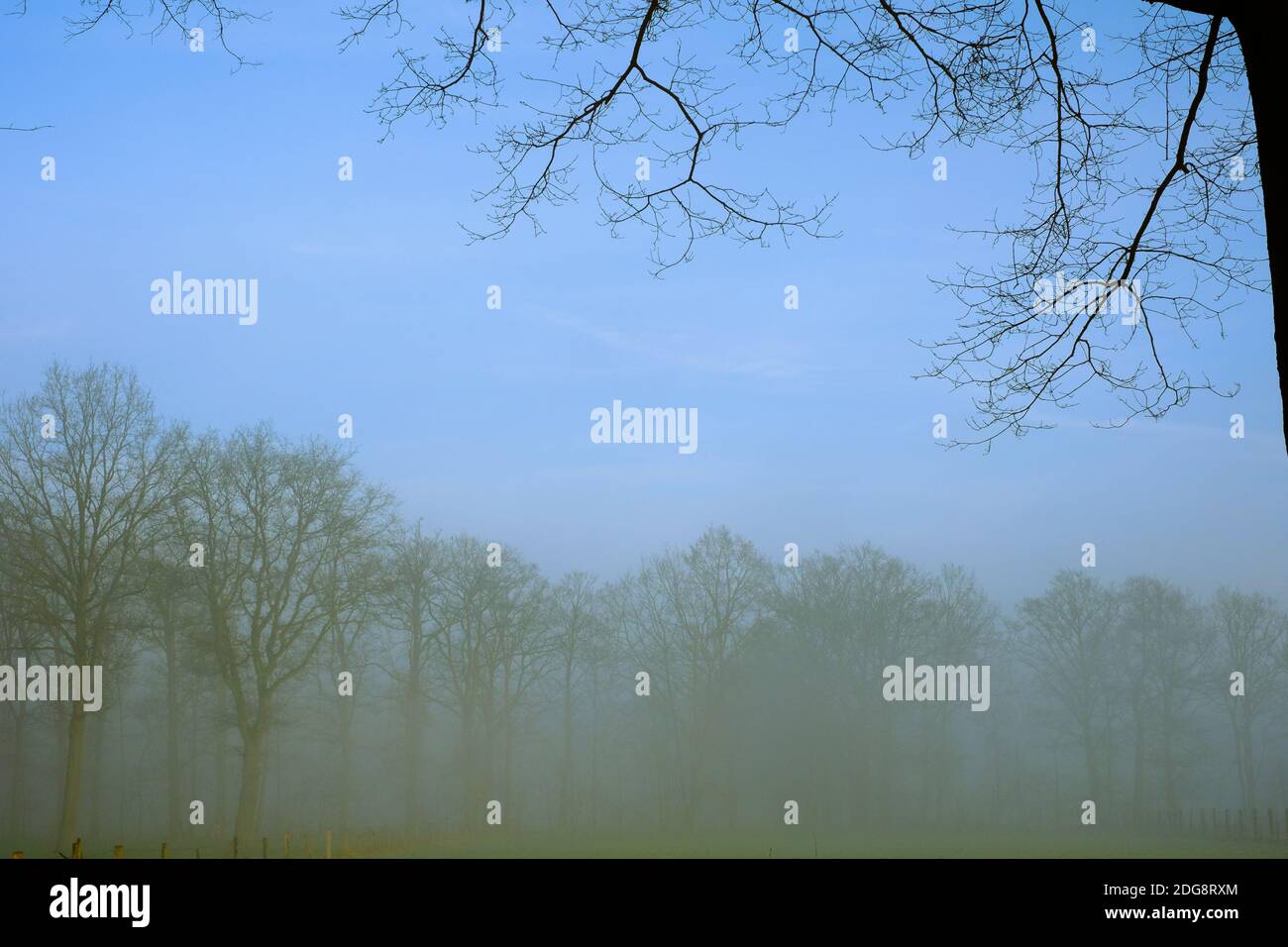 Lever de soleil brumeux Banque D'Images