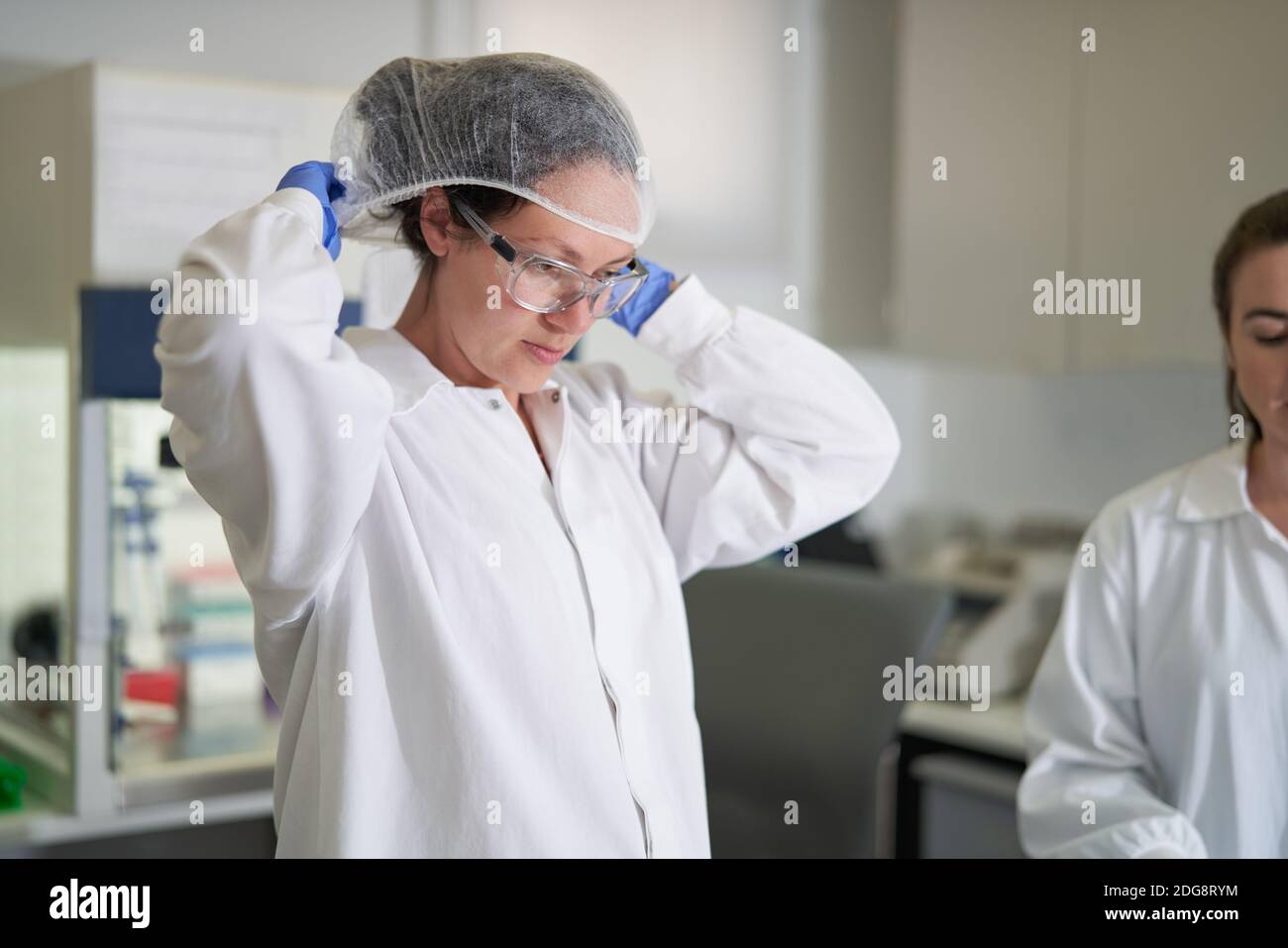 Femme scientifique mettant sur filet de protection en laboratoire Banque D'Images