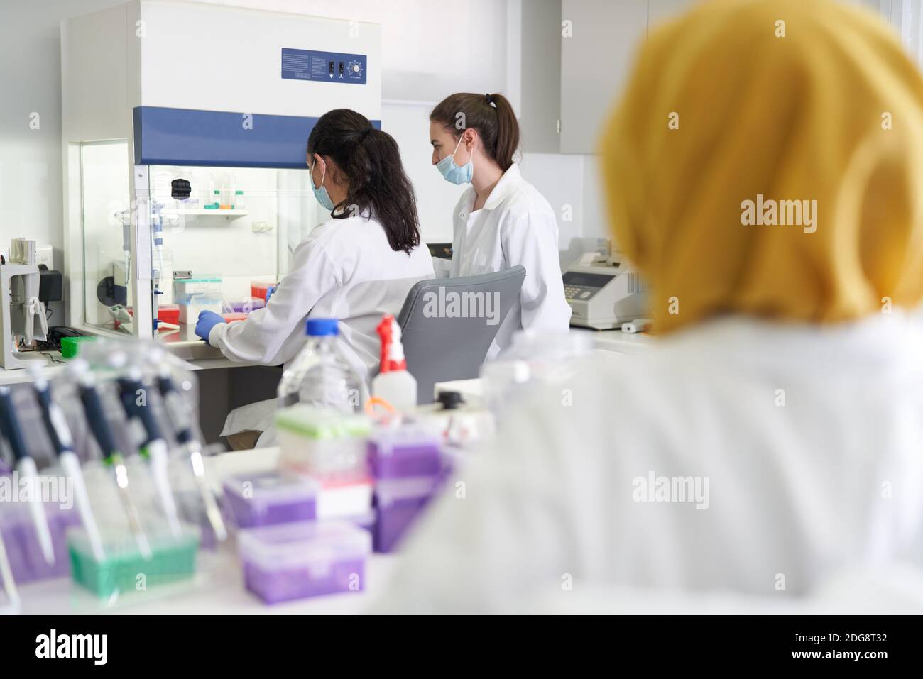 Femmes scientifiques travaillant à la hotte d'aspiration en laboratoire Banque D'Images