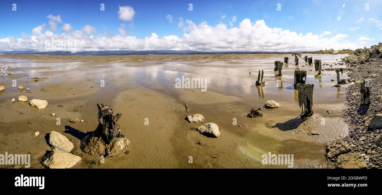 Vieille pile dans la baie Humboldt à faible Tide Banque D'Images