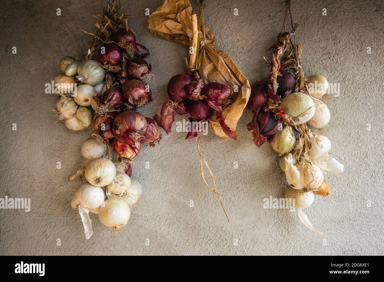 Ail et chilis dans la fraction Micciano de la municipalité de Pomarance, 470 mètres d'altitude, située sur les collines métallifères au milieu de Banque D'Images