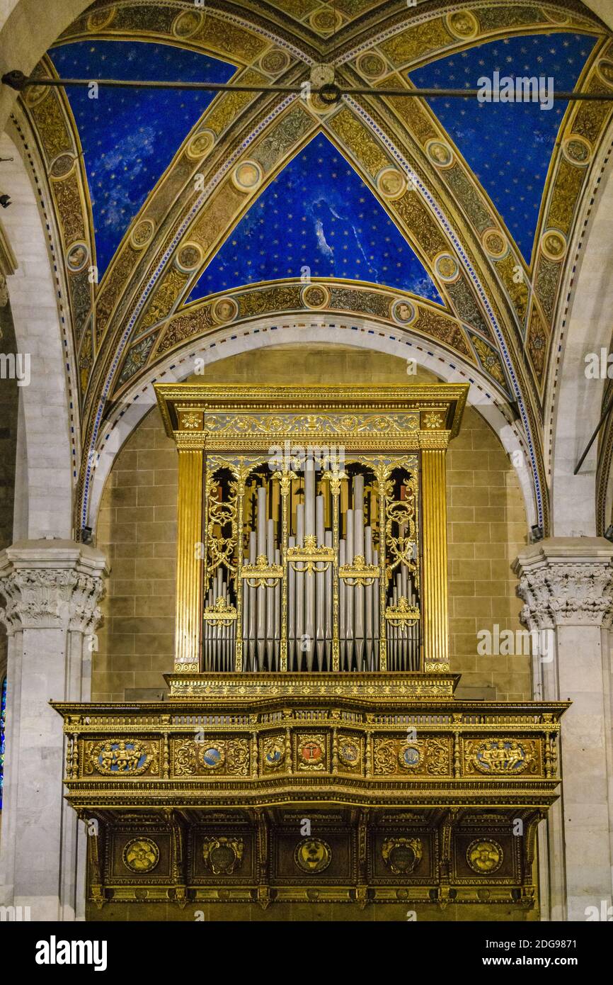 Intérieur de la cathédrale San Martino, Lucca, Italie Banque D'Images