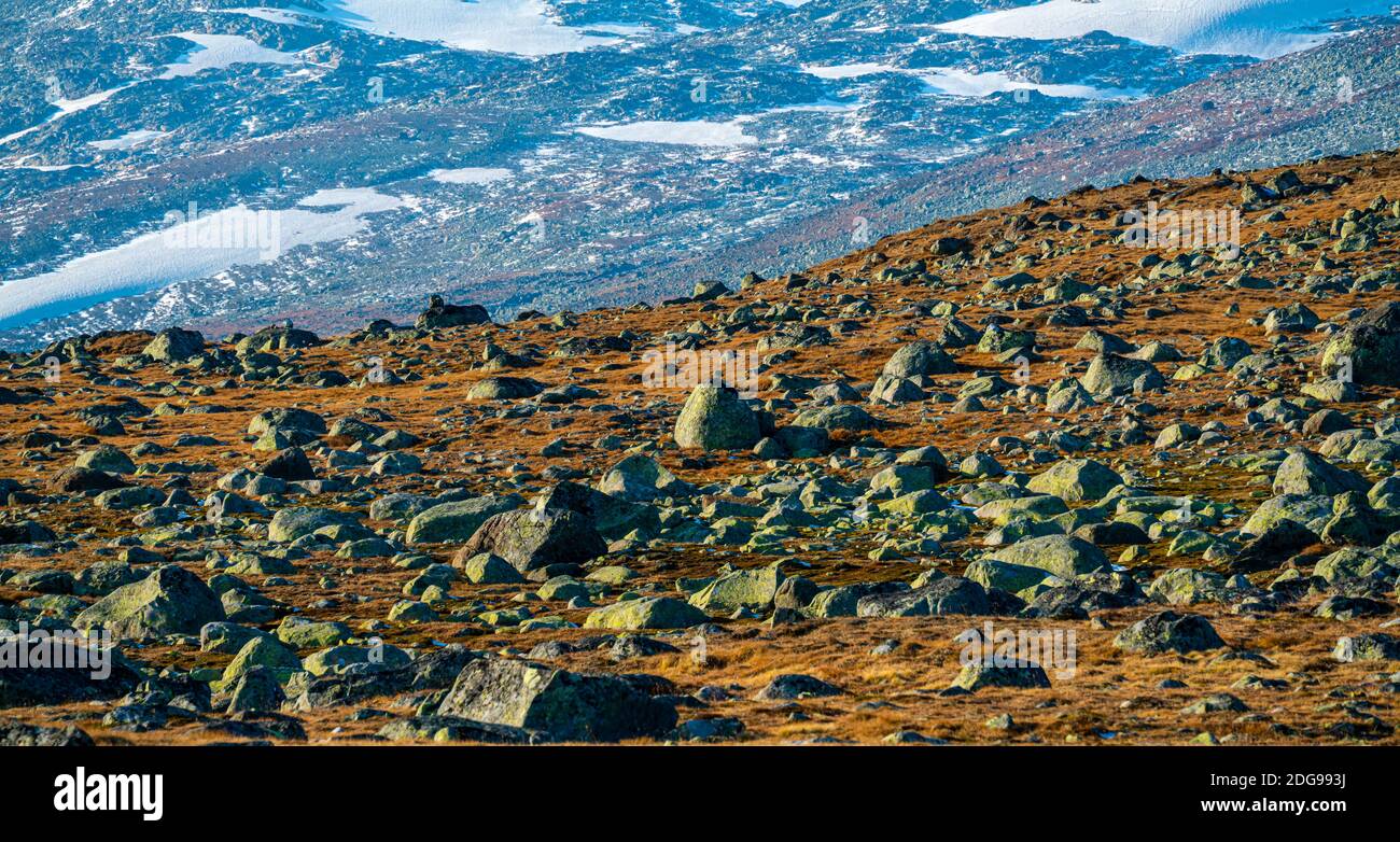Plateau de haute montagne jonché de gros rochers depuis le dernier âge  glaciaire. Couleurs d'automne orange et jaune et sommets blancs en  arrière-plan Photo Stock - Alamy