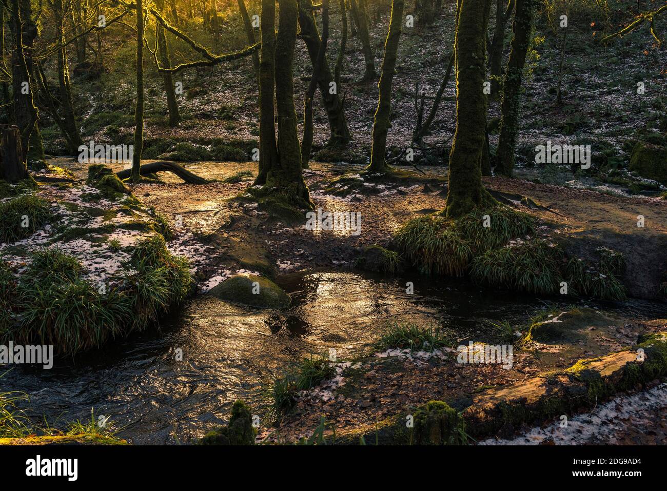 La lumière du soleil en fin d'après-midi tandis que la rivière Fowey coule le long des chutes Golita dans le bois historique et ancien de Draynes Wood, dans les Cornouailles. Banque D'Images