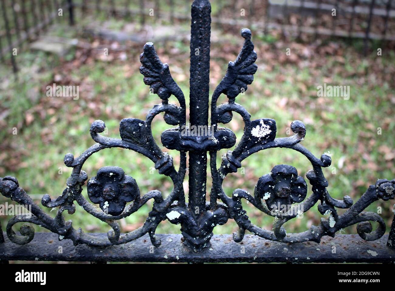 détails ornés d'une ancienne porte en fer forgé sombre sur un arrière-plan flou Banque D'Images