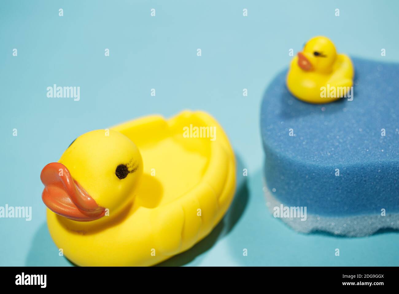 Grand canard en caoutchouc jaune en premier plan avec une éponge bleue derrière avec un petit canard sur le dessus, concept de nettoyage et de bain, vertical Banque D'Images