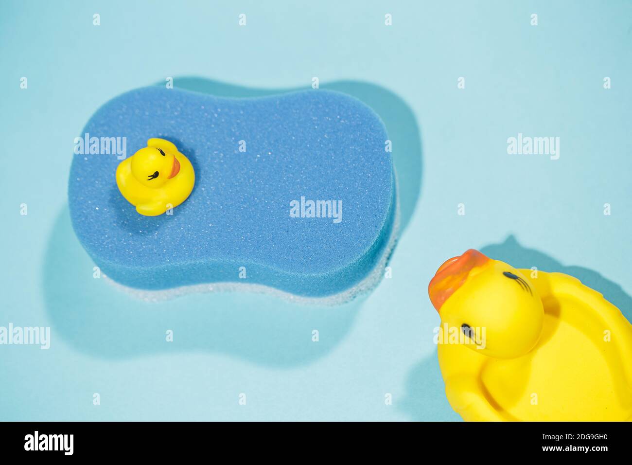 Vue de dessus du petit et grand canard en caoutchouc jaune sur le dessus de l'éponge de bain bleue, sur fond bleu, concept de nettoyage et de bain Banque D'Images
