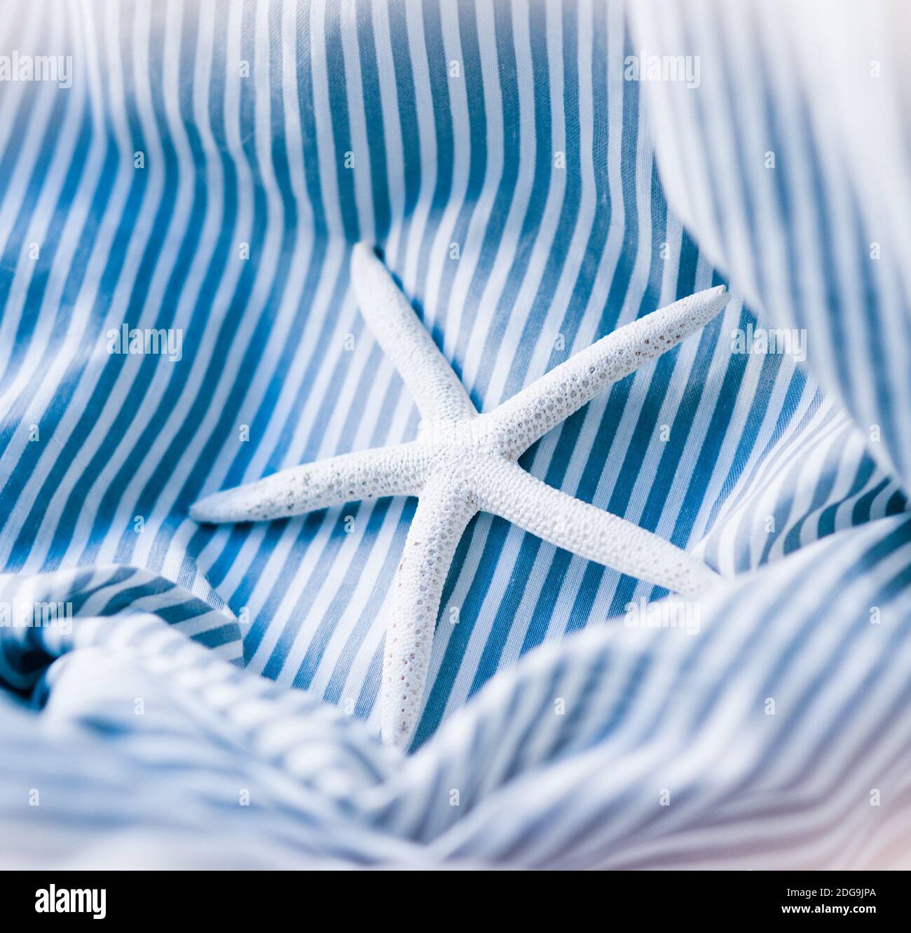 étoile de mer sur fond bleu rayé Banque D'Images