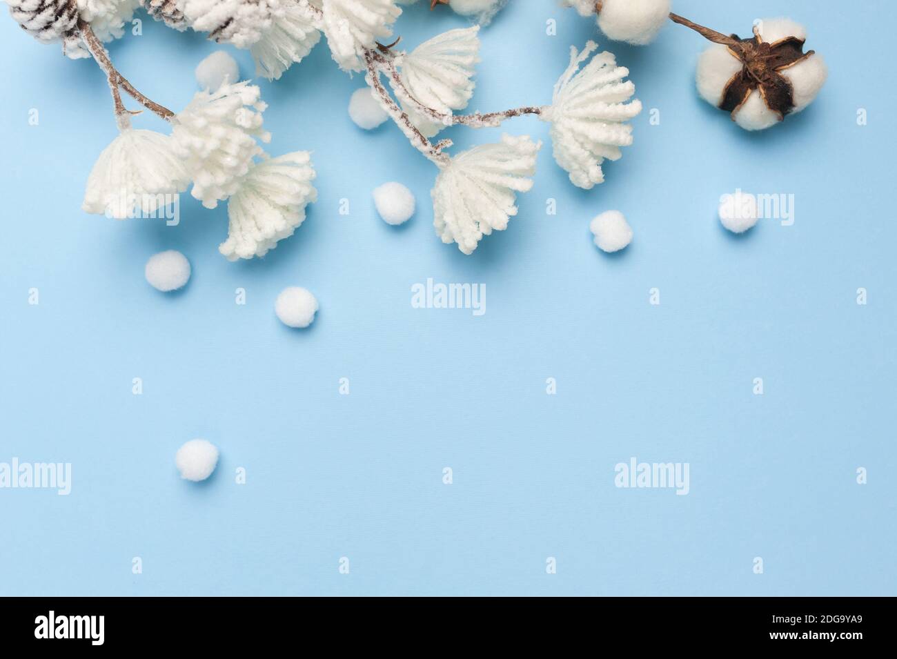 Maquette de feuilles d'eucalyptus et de coton avec place pour le texte sur fond bleu. Couronne en branches, cônes. Flat lay, vue de dessus Banque D'Images