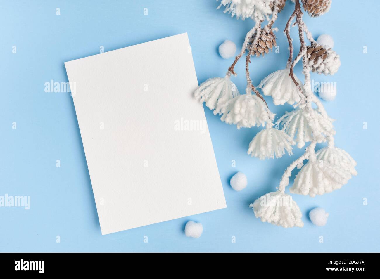 Maquette de feuilles d'eucalyptus et de coton avec place pour le texte sur fond bleu. Couronne en branches, cônes. Flat lay, vue de dessus Banque D'Images